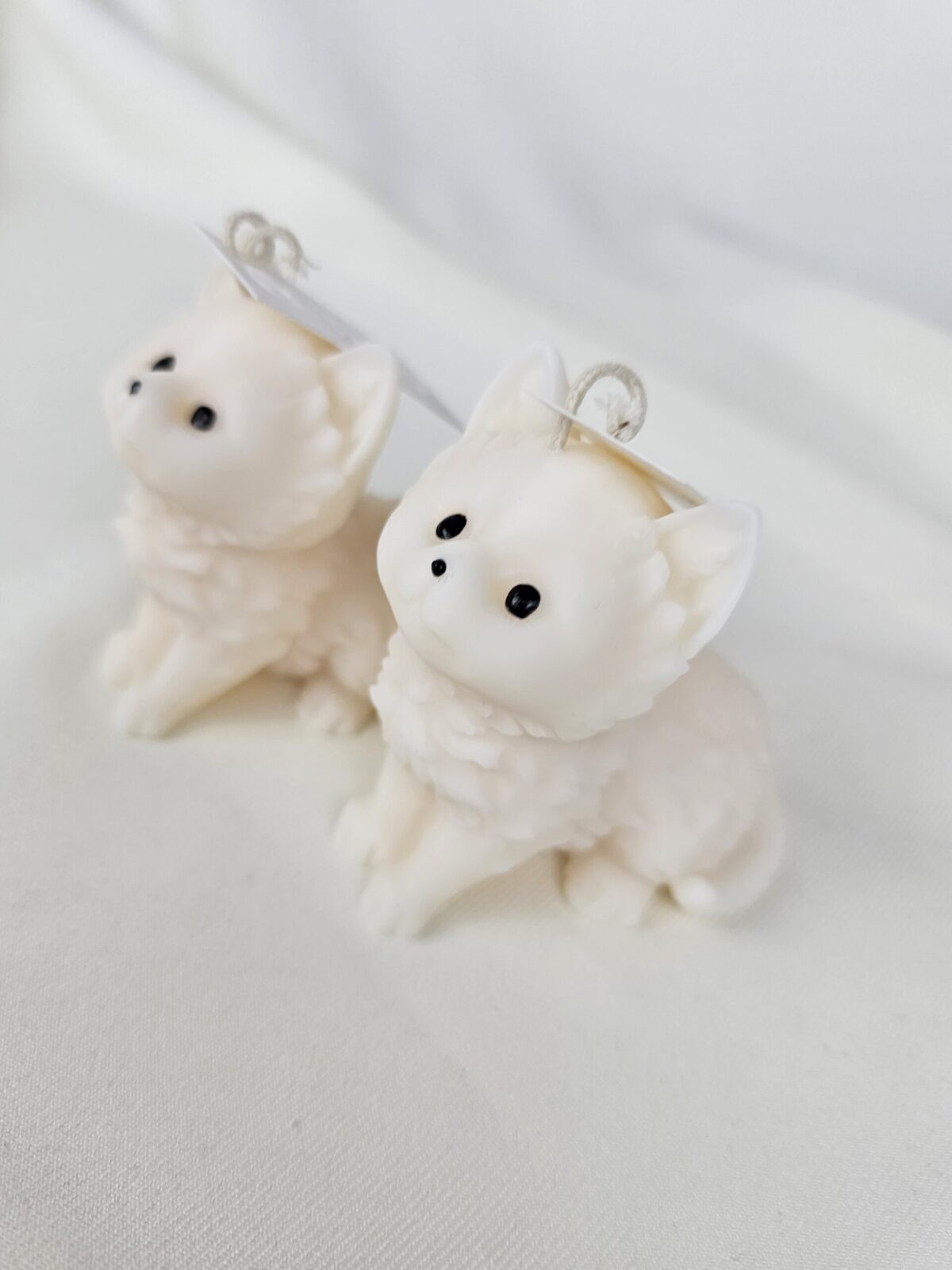 Czy świece sojowe są bezpieczne dla zwierząt? Co musisz wiedzieć, jeśli masz pupila